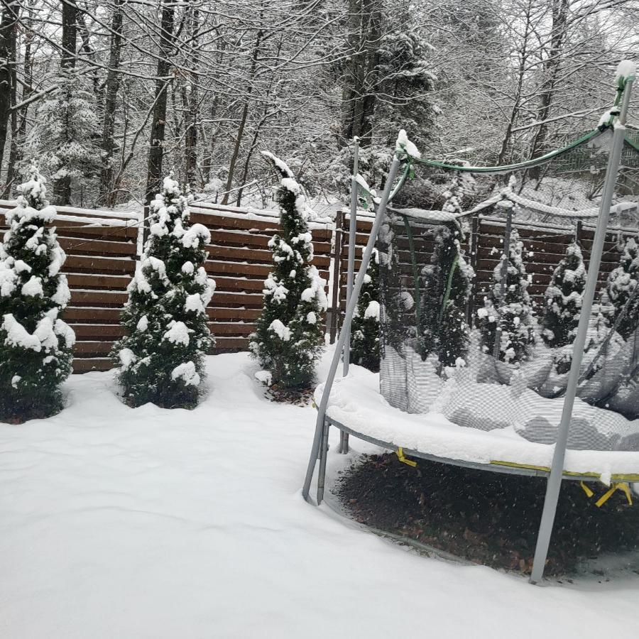 Villa Quad Poiana Brasov Ngoại thất bức ảnh